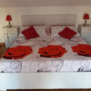 Mansardina Sassu , Alghero Italia